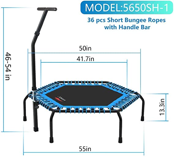 Fitness Trampoline