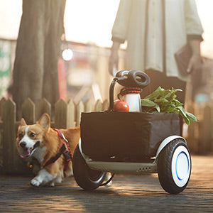 S-Plus Smart Self-Balancing Electric Scooter