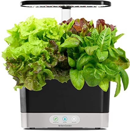 Black Indoor Hydroponic Garden