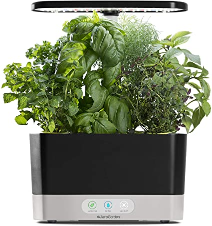 Black Indoor Hydroponic Garden