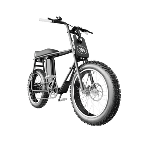 UNI Bobber 204 LT 250W Electric Bike