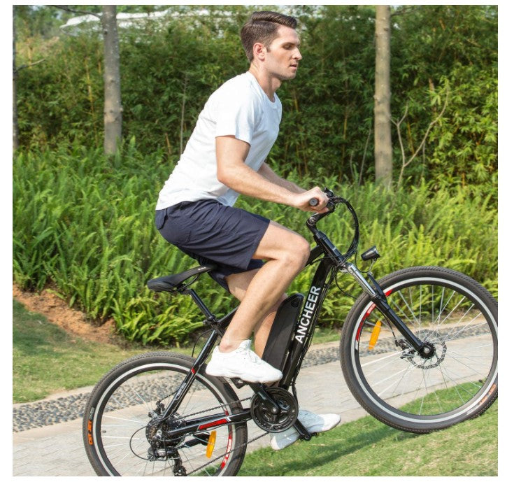 500W Electric Bike