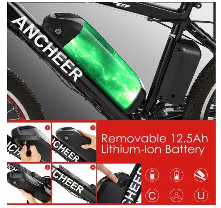 500W Electric Bike